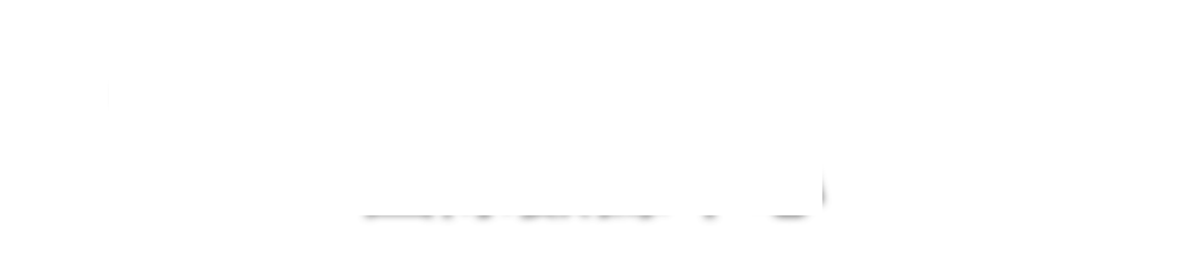 OVERSEA DATA CENTRE 
國際數據中心