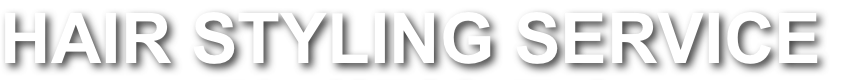 shapeimage_8_link_0